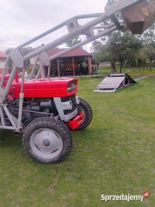 Sprzedam MF 135 Massey Ferguson