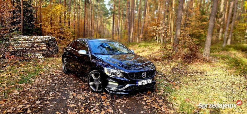 Volvo S60 Rdesing 20d 190 2014r świętokrzyskie