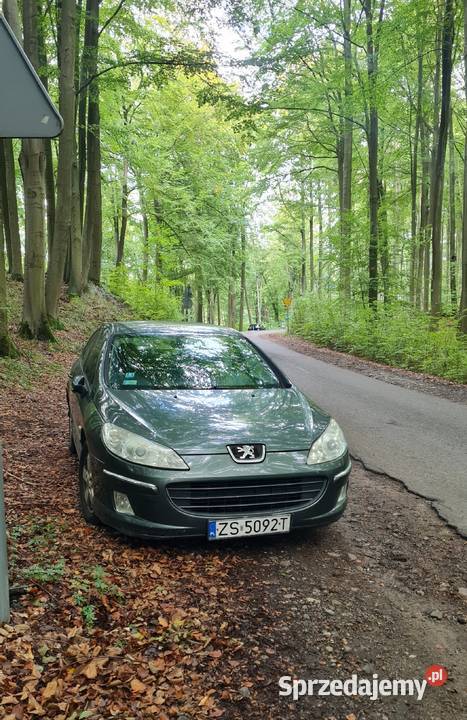 Peugeot 407 20 2007 DT 407 Szczecin sprzedam