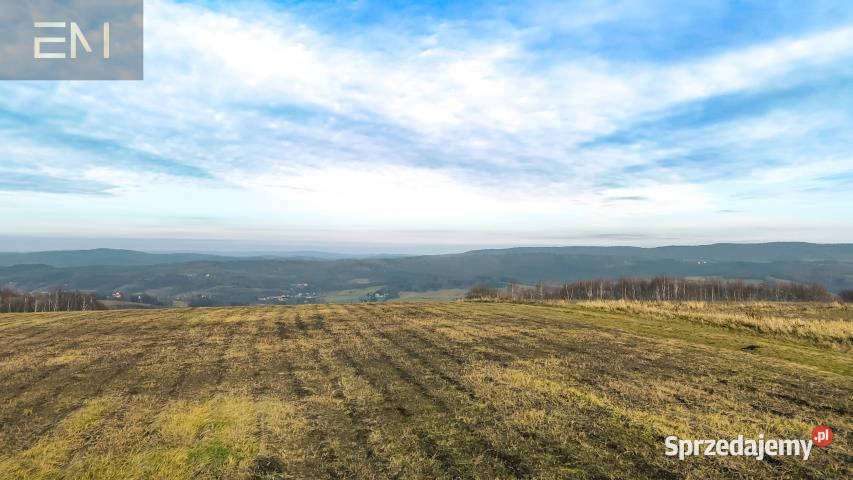 Ziemia na sprzedaż 10200m2 Gogołów budowlana