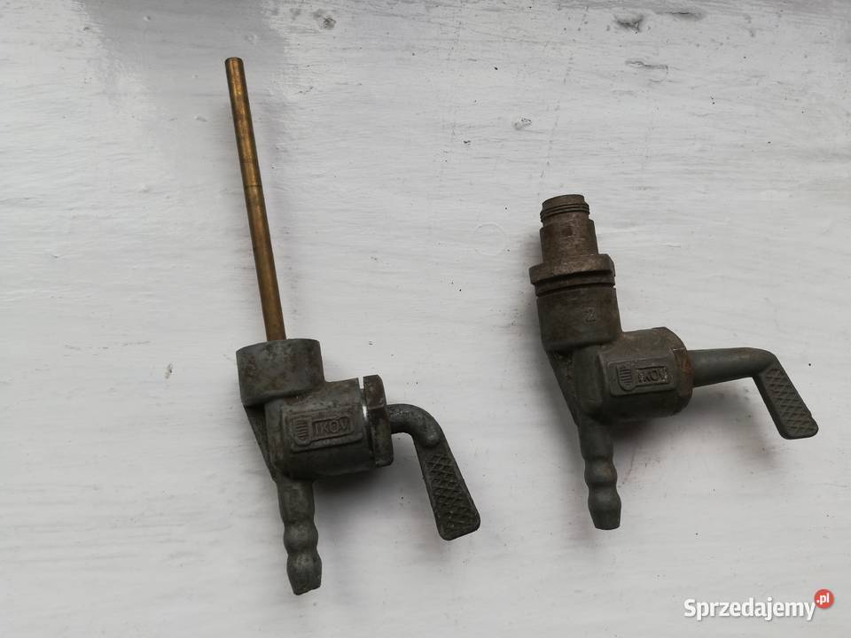 Java jawa kraniki wielkopolskie Dąbie