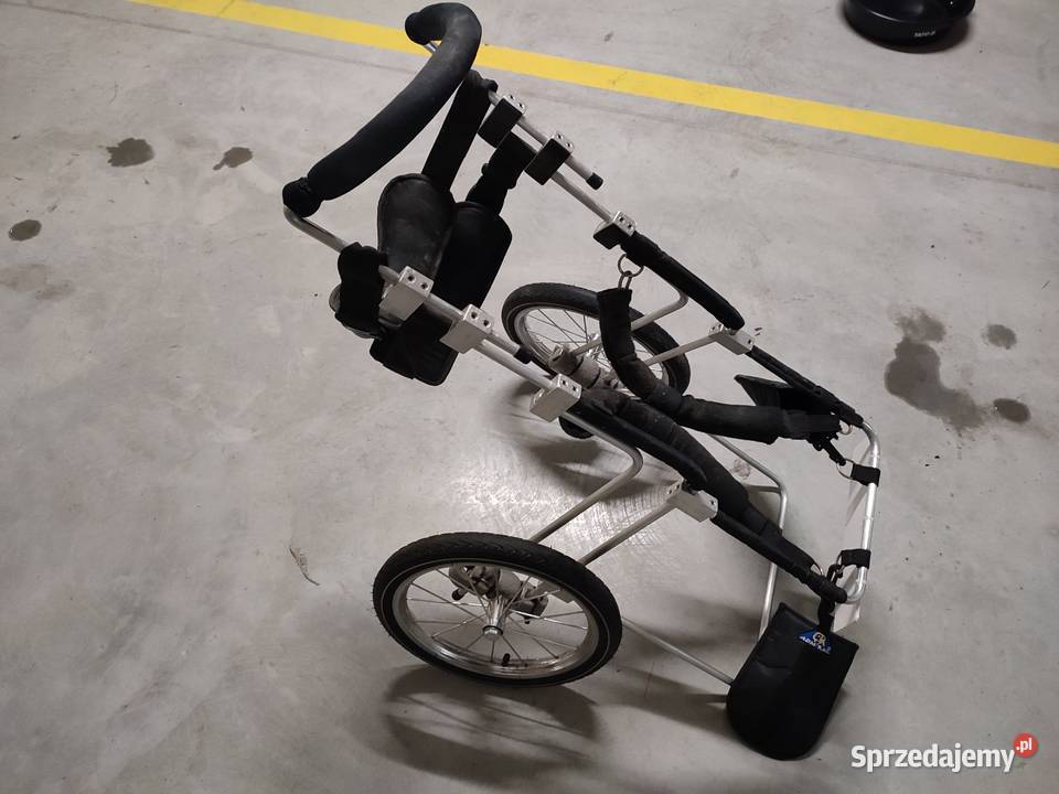 Wózek inwalidzki psa Szczawno-Zdrój