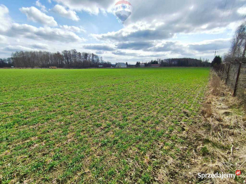 Działka budowlana w pobliżu Płocka budowlana Grunty i działki Miszewko Strzałkowskie