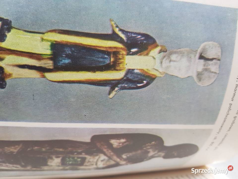 Chiny Zarys historii kultury Charles Patrick przyroda, krajobrazy świętokrzyskie Kielce sprzedam