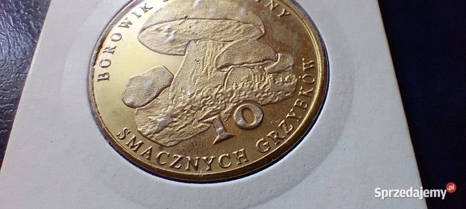 Stare monety Medal Borowik Szlachetny 185 Kolekcje Lesko