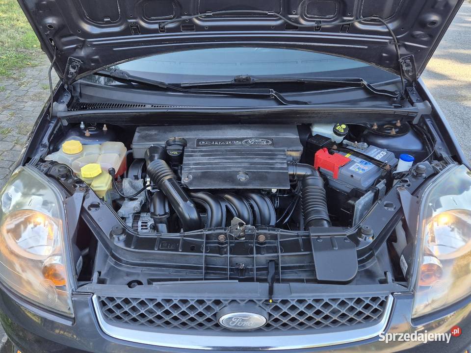 FORD FIESTA LIFT 13B OPŁACONY Z NIEMIEC KLIMA garażowany Końskie
