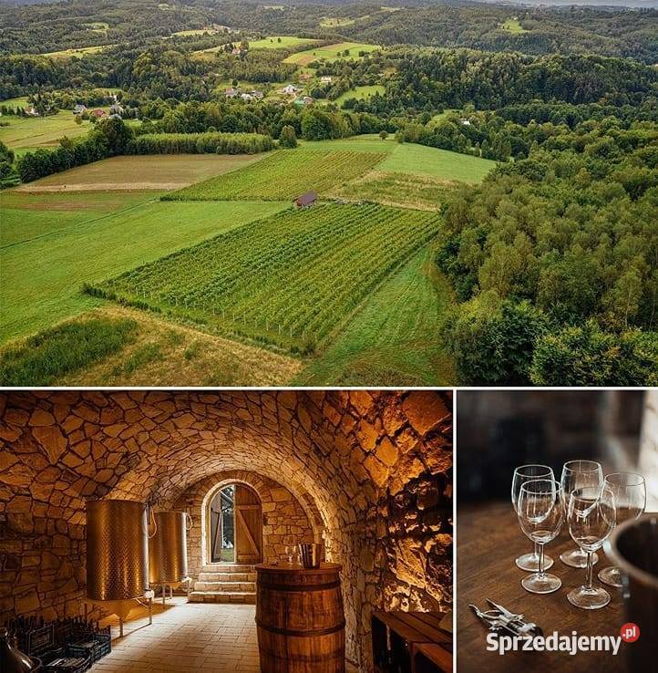 Funkcjonująca Winnica z infrastrukturą i Gwoźnica Górna sprzedam