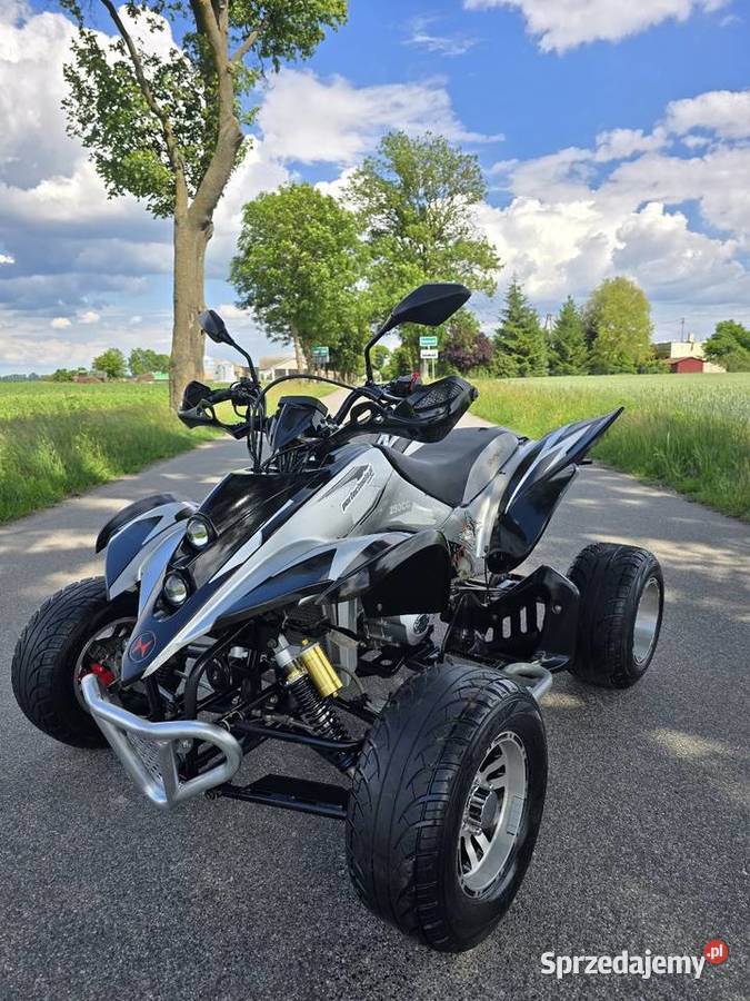 Quad Shineray 250cc Duża Rama Ciecz kujawsko-pomorskie Kruszwica
