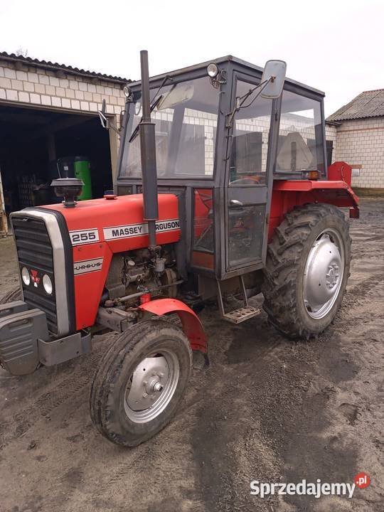 Massey Ferguson 255 sprzedam
