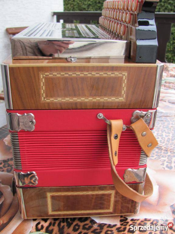 Harmonia guzikówka Hlavacek idealny stan żywiec Żywiec