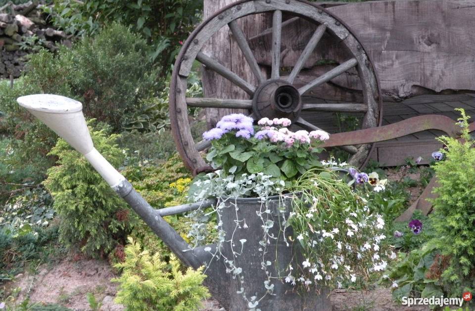 Usługi ogrodnicze na terenie Łodzi i okolic Łódź