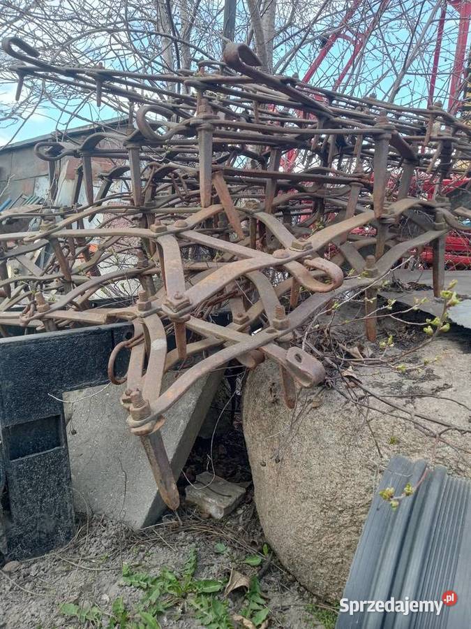 Brona brony Nowa Wieś