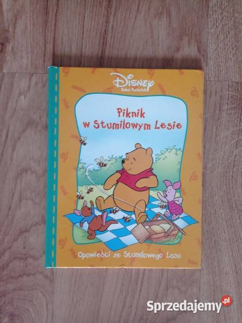 Piknik w Stumilowym Lesie KSIĄŻKA Rok wydania 2000 śląskie Chorzów