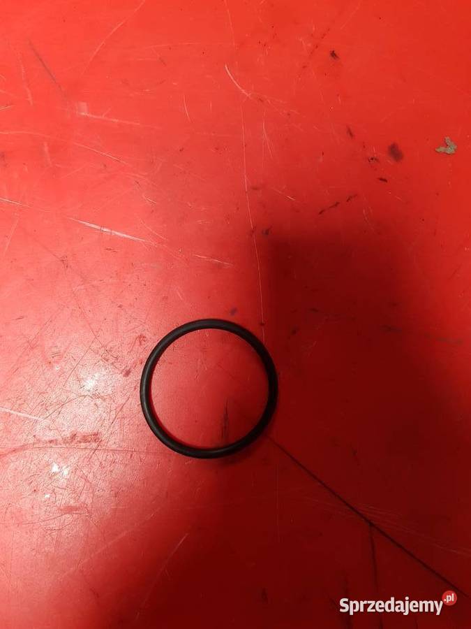 Oring CNH Case Holland 235782 Sulechów