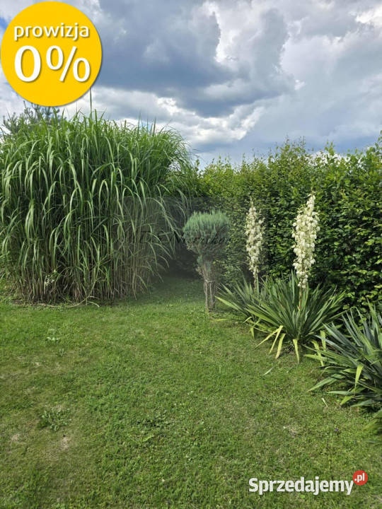 dom z dużą działką Krasice