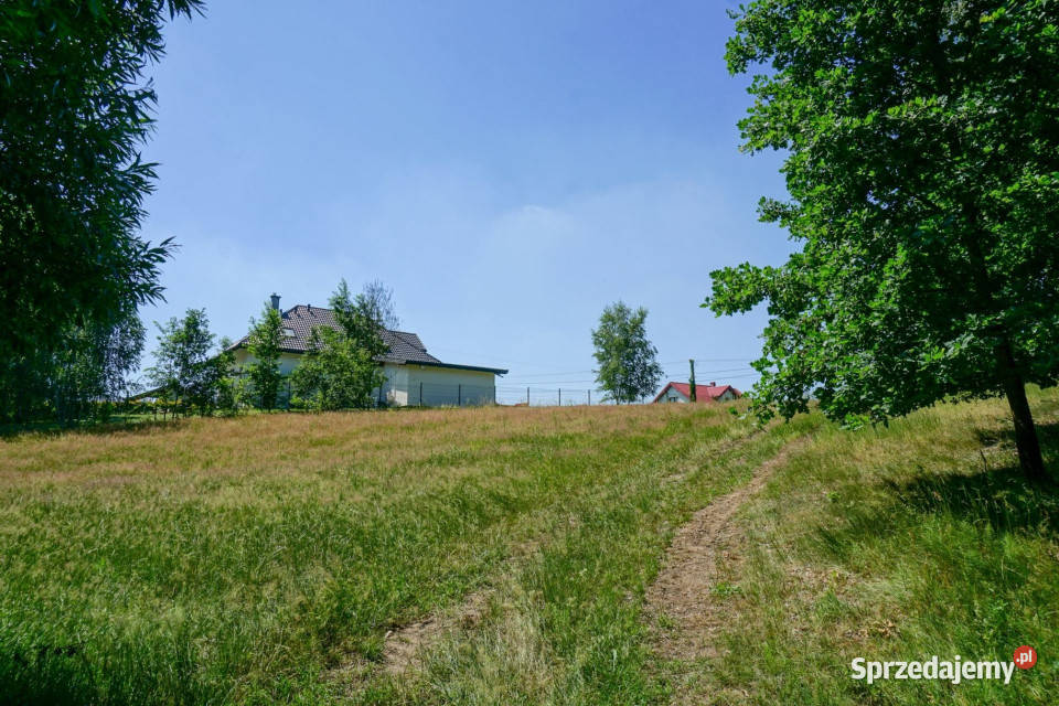 Działka z warunkami zabudowy i terenem 11ha Suliszew