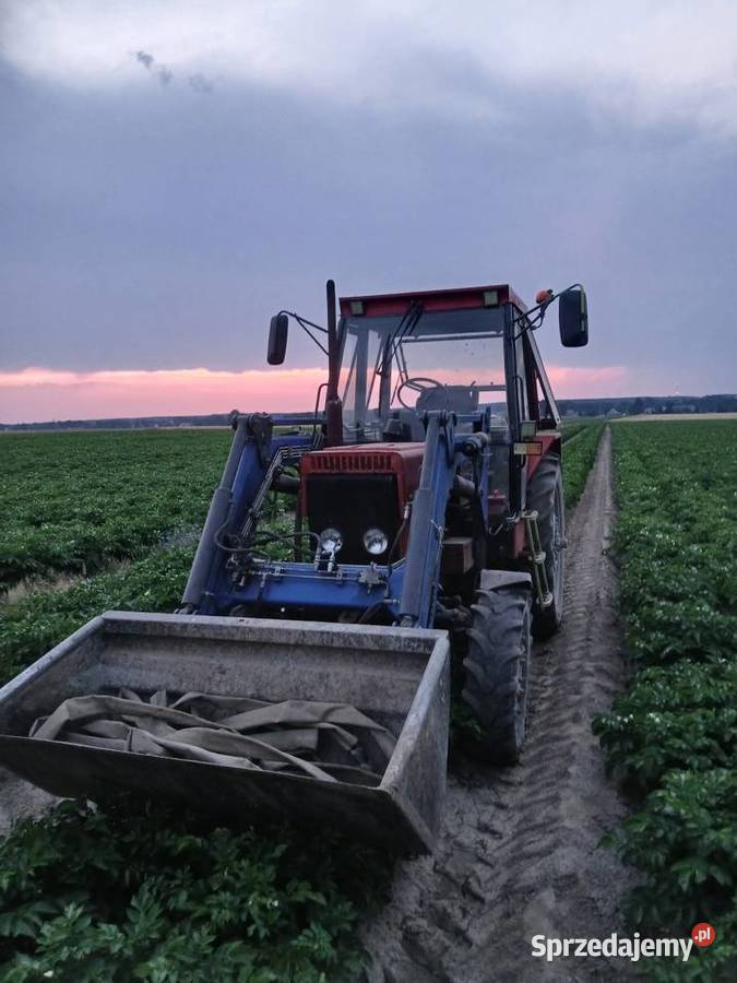 Mtz 82 tur Bolesławiec