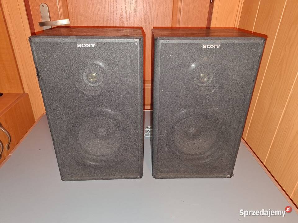Kolumny Głośnikowe SONY SSA102 2 100 Sprawne