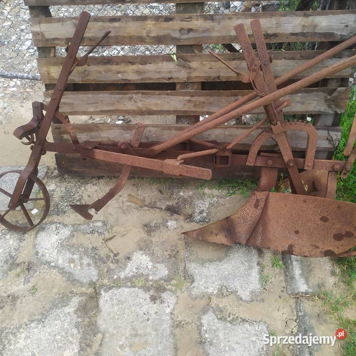 Opsypnik konny Pniówek