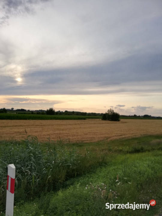 BednaryKolonia gm Nieborów Działka budowlana sprzedam