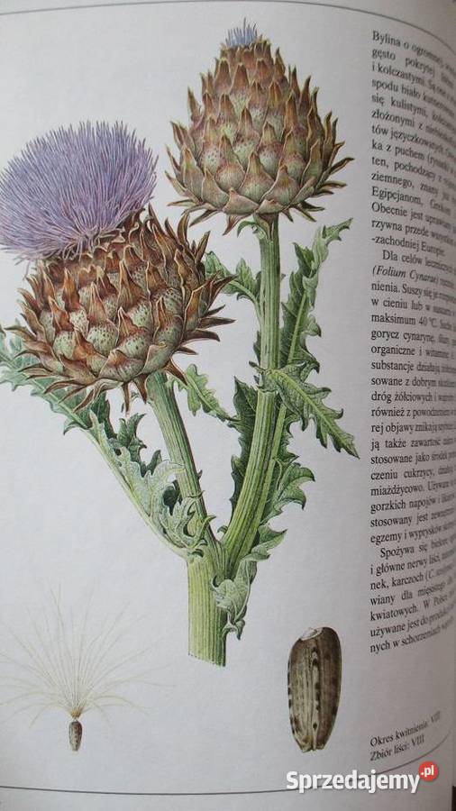Rośliny lecznicze Volak Stodola rośliny zioła Książki naukowe i popularnonaukowe Łódź sprzedam