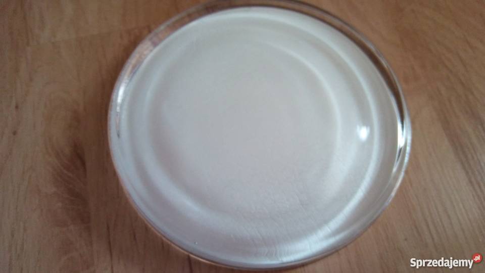 bilonownica nowa wielkopolskie