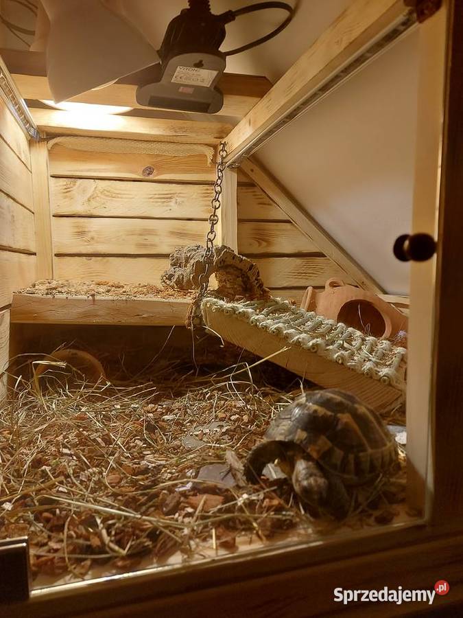 Terrarium na poddaszeskośne żółwia gekona węża
