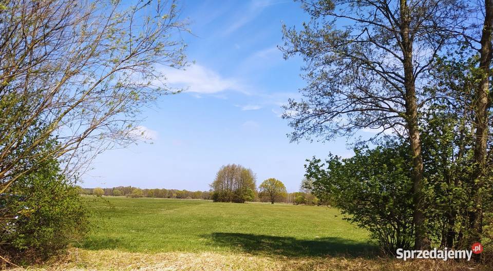 Działka rolna łąka Radolina gm Golina