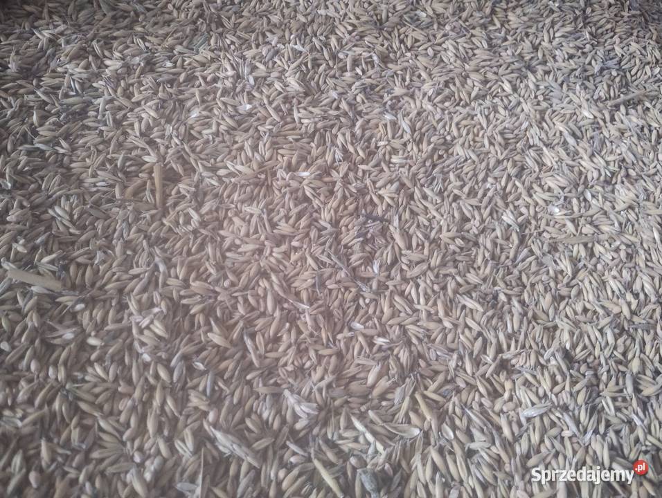 Sprzedam mieszankę zbożową Krasnystaw