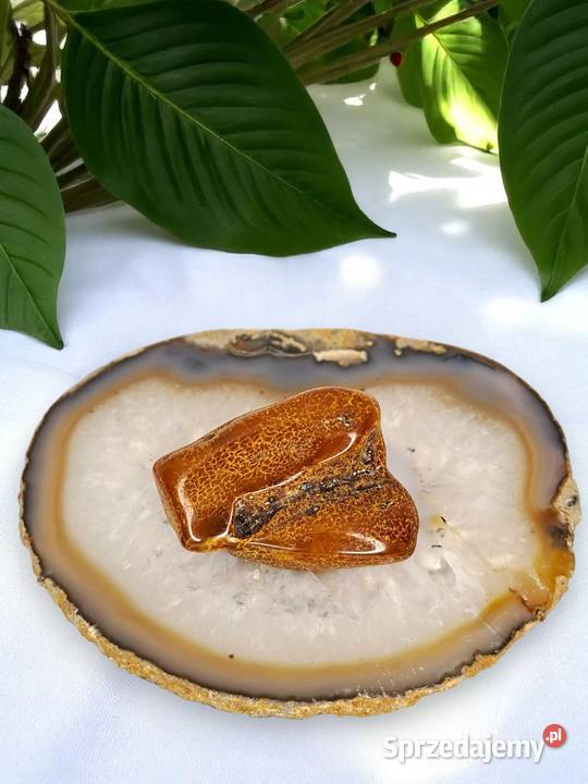 Broszka z bursztynu bursztyn bryłka 1495 Warszawa