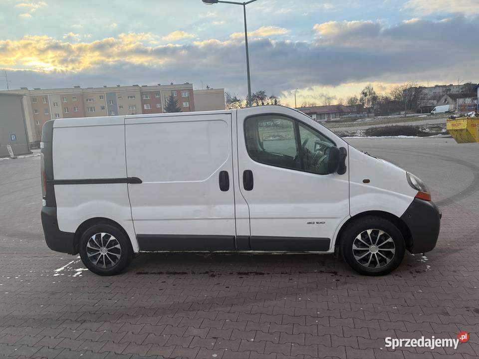 Renault traffic kupiony w Polsce Motoryzacja Buk