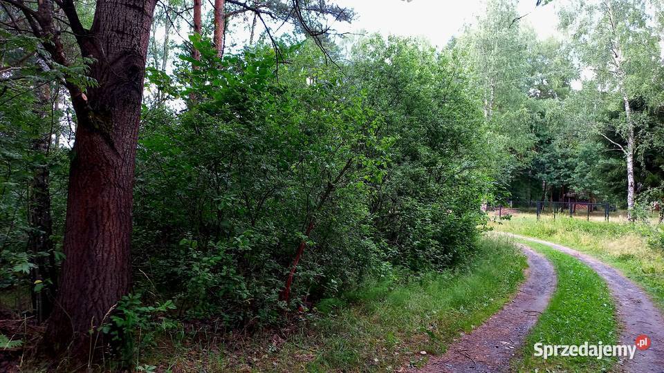 Działka budowlana Tumlin Osowa 2480m2 gmina 179zł/m2 Tumlin-Osowa