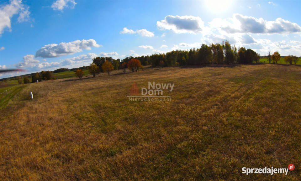 Działka Rydzewo 1287m2 polna