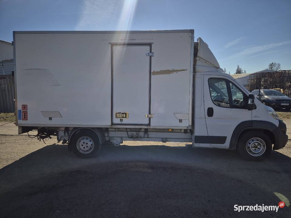 Ducato chłodnia Thermo king v300 Rok produkcji 2015 Prusinowo sprzedam