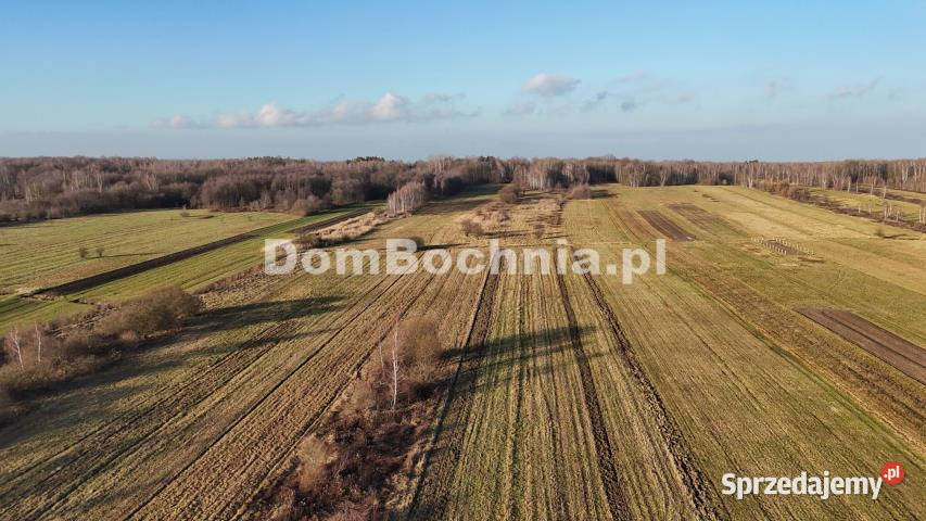 Działka Jodłówka 8587m2