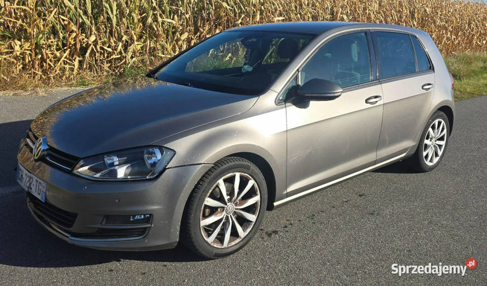 Volkswagen Golf Sutomat 160000 VII 2012 ogrzewanie postojowe