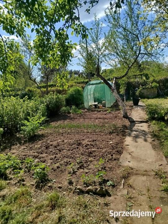 Sprzedam działkę rod 20zł/m2 lubuskie Nowa Sól