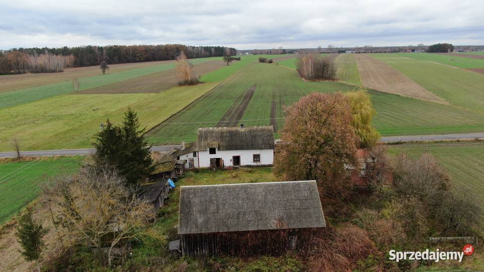 Siedlisko Aleksandrówek gmina Poddębice parterowy