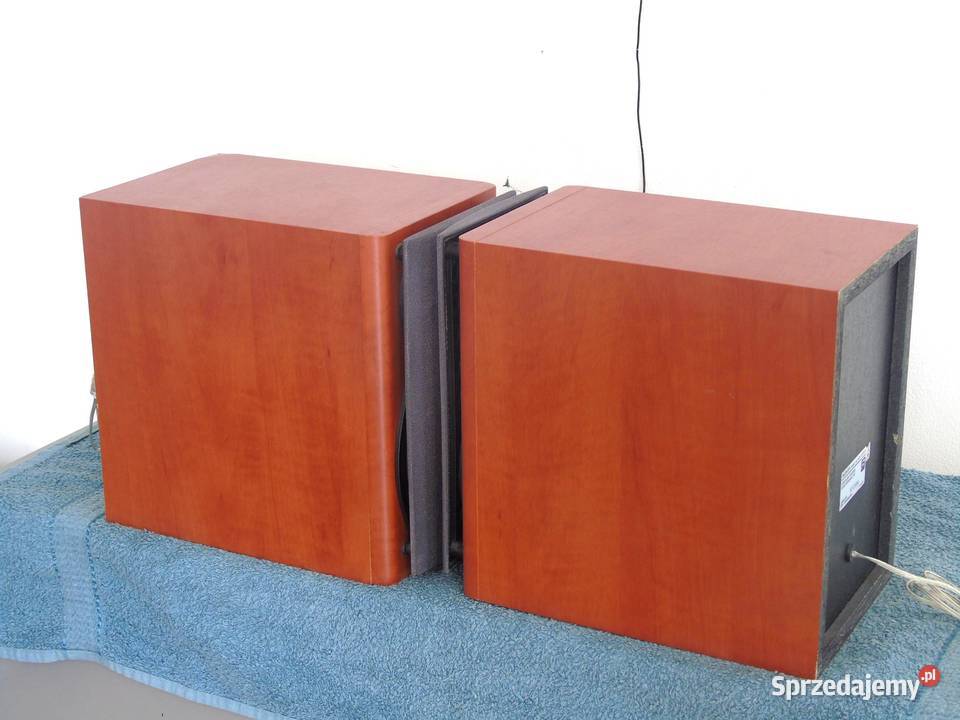 Kolumny Sony SSCCPZ1 śliczne i sprawne WYSYŁKA