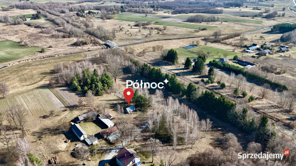 Siedlisko z lasem Ruda Kolonia 5min d0 utwardzona Domy Ruda-Kolonia