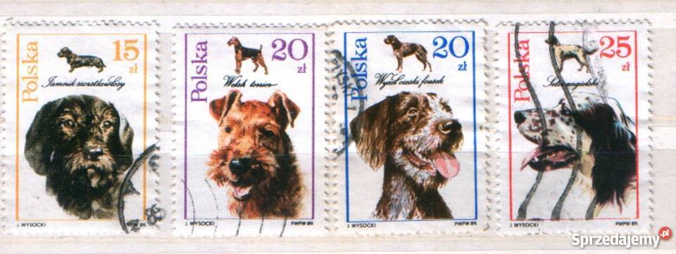 Zn Fi 3049 51 3 kas 1989 Gliwice