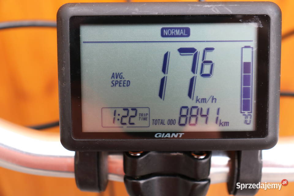 Rower elektryczny Giant Elegance D 50 Yamaha