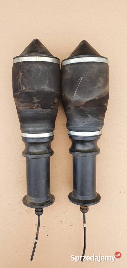 RENAULT MAGNUM AMORTYZATOR PODUSZKA KABINY PRZÓD lubuskie Bieleń