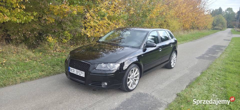 2007 Audi A3 20TDI 170 4x4 Quattro Bixenon aluminiowe felgi sprzedam