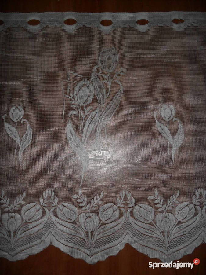 zazdroska krótka firanka 47 70 Wrocław