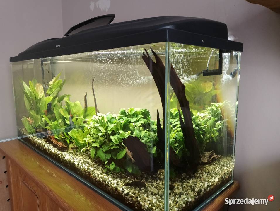 Akwarium 120x40x50m szkło 10mm Optiwhite Sosnowiec