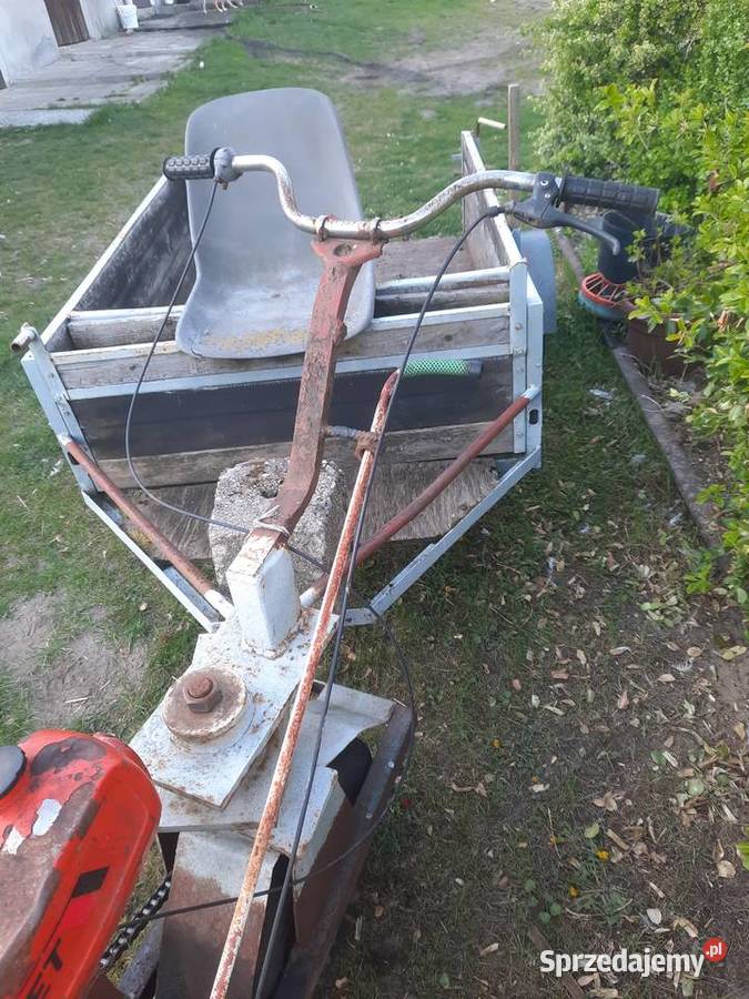 Trajka Dzik Trójkołowiec Mikstat