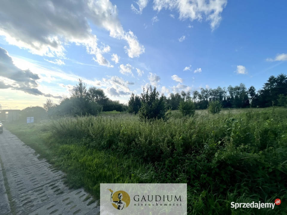 Działka na Żuławach I trasy S7 I 2500 m2 budowlana