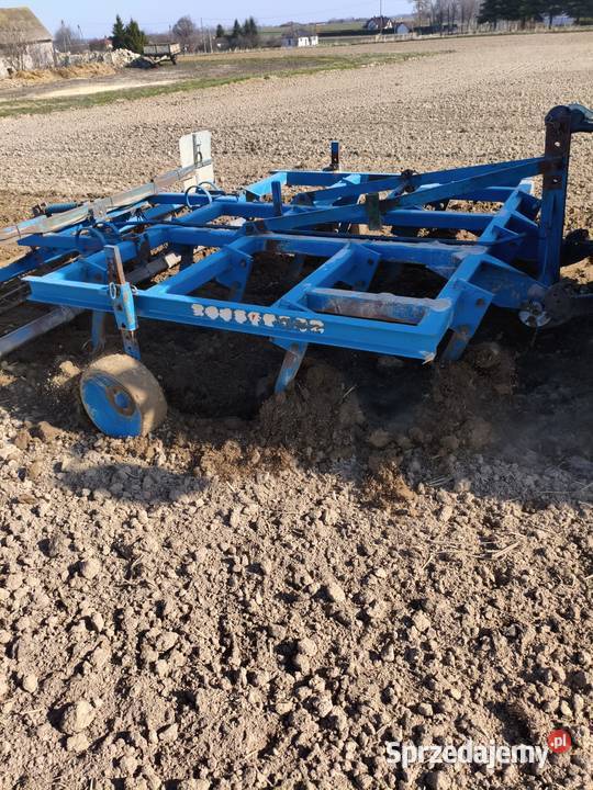 Bezorkowiec czterobelkowiec rabe Rabe lubelskie Motycz