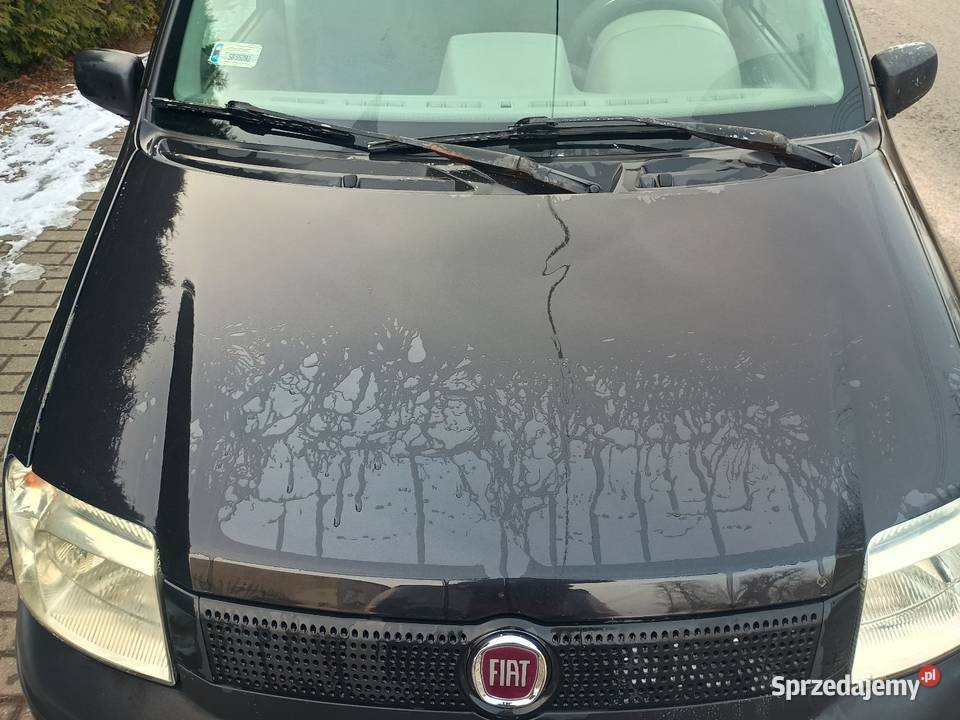 Fiat Panda 2 11 części Radzionków